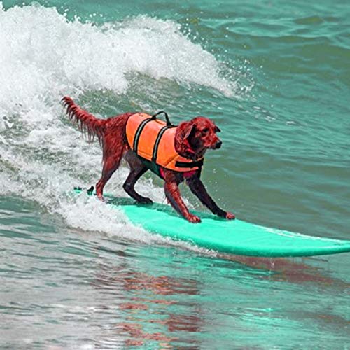 Warmiehomy Hundeschwimmweste, Orange - 9