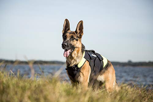 Julius K9 Hunde-Schwimmweste, Grösse XL - 5