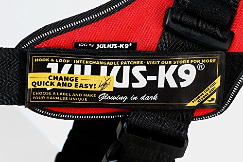 Julius K9 Hunde-Schwimmweste, Grösse XL - 8