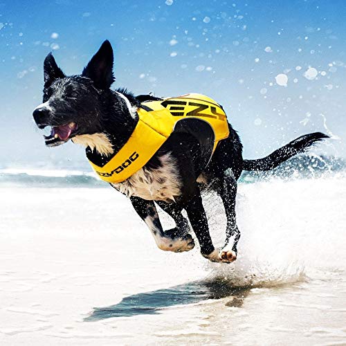 EzyDog X2 Boost-Schwimmweste für Hunde, Rot - 2